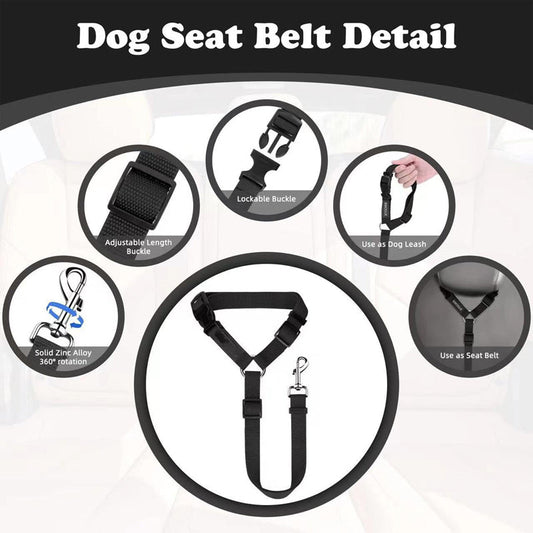 Ceinture de sécurité auto et laisse de promenade 2 en 1 pour chien