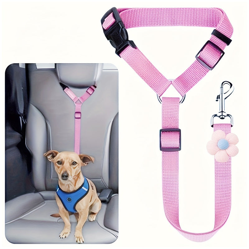 Ceinture de sécurité auto et laisse de promenade 2 en 1 pour chien
