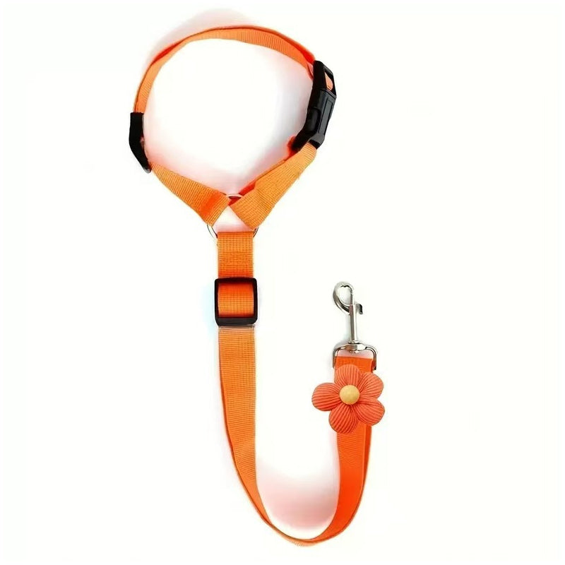 Ceinture de sécurité auto et laisse de promenade 2 en 1 pour chien