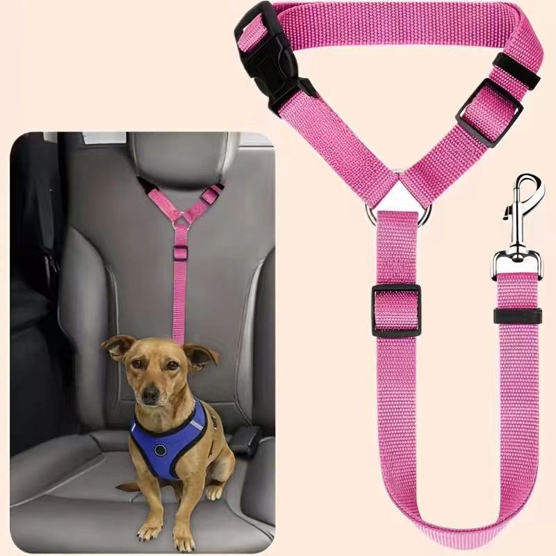 Ceinture de sécurité auto et laisse de promenade 2 en 1 pour chien