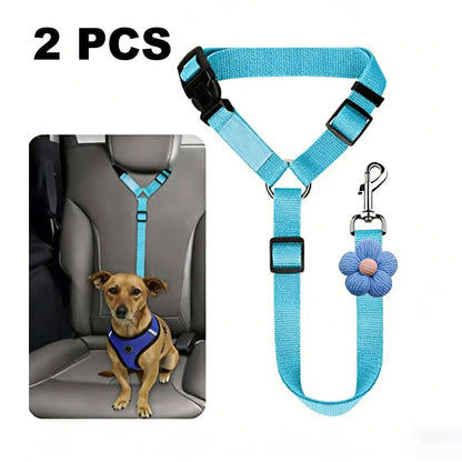 Ceinture de sécurité auto et laisse de promenade 2 en 1 pour chien